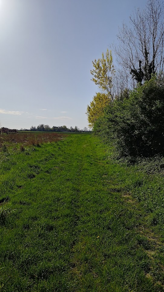 Le chemin continue à travers les champs