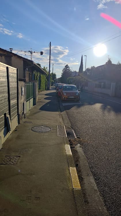La fameuse rue à « merde » qui ne contient pas une seule crotte de chien