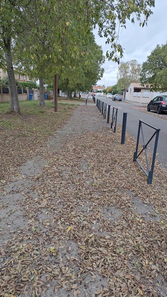 Bizarrement, ceux qui tweetent en boucle sur « l’ombre géniale » des arbres l’été deviennent muets quand les branches et feuilles rendent la voie publique impraticable et dangereuse en automne.