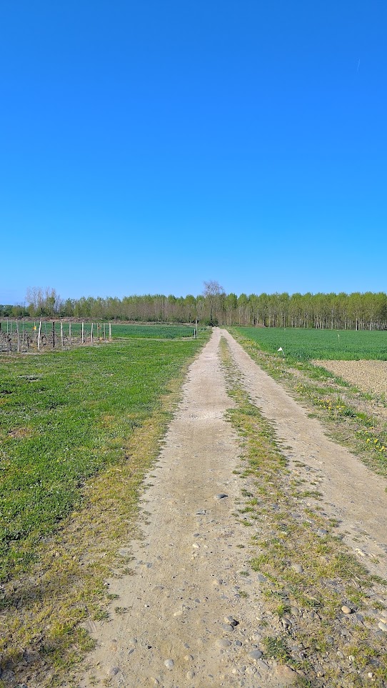 Le premier chemin de randonnée