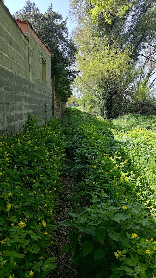 Un petit sentier derrière l'église de Saint-Caprais